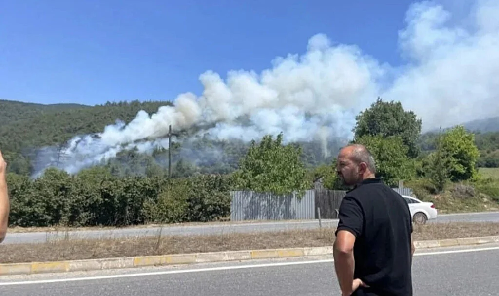 Kahramanmaraş, Denizli, İzmir ve Sakarya'da Orman Yangınları