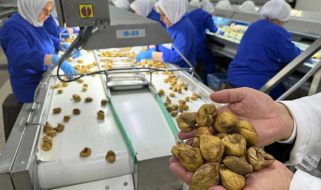Kuru Meyve İhracatında Yüzde 15 Artış: 829 Milyon Dolar
