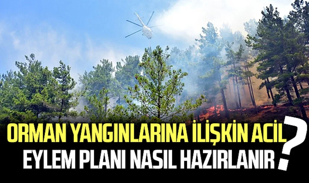 Orman Yangınlarına İlişkin Acil Eylem Planı Nasıl Hazırlanır?