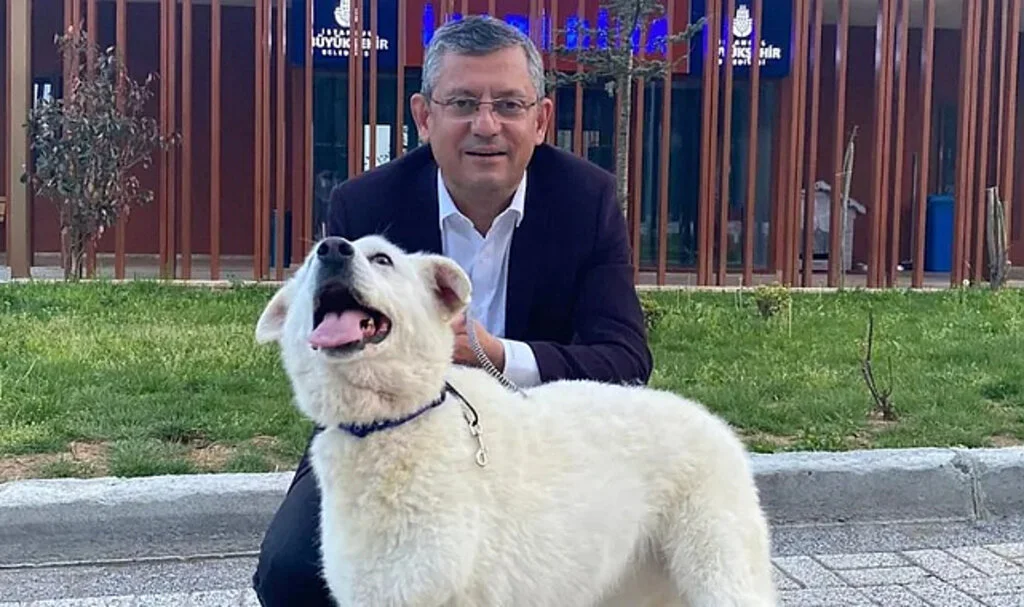 'Sahipsiz Köpek' Teklifine 'Mira'lı Eleştiri