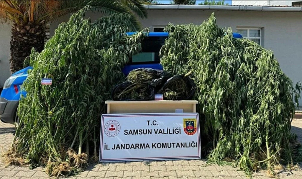 Samsun 19 Mayıs'ta Uyuşturucu Operasyonu: 1 Gözaltı