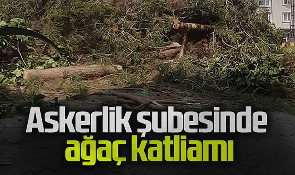 Samsun Çarşamba Askerlik Şubesi'nin Bahçesinde Ağaç Katliamı
