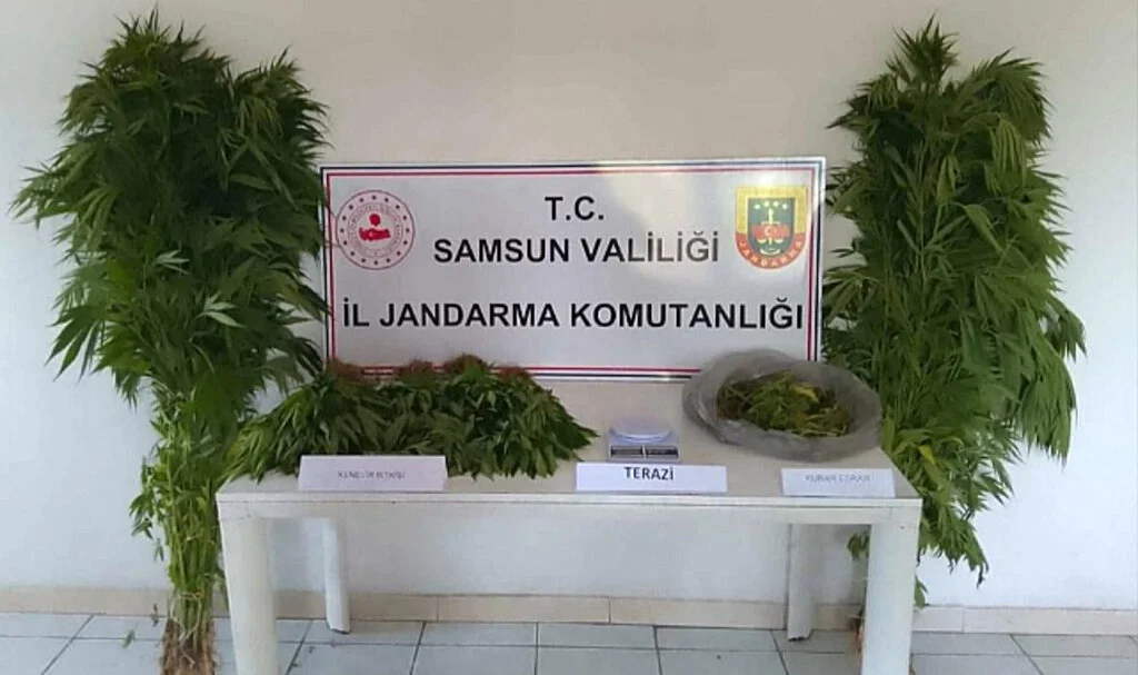 Samsun Çarşamba'da Jandarma Operasyonu