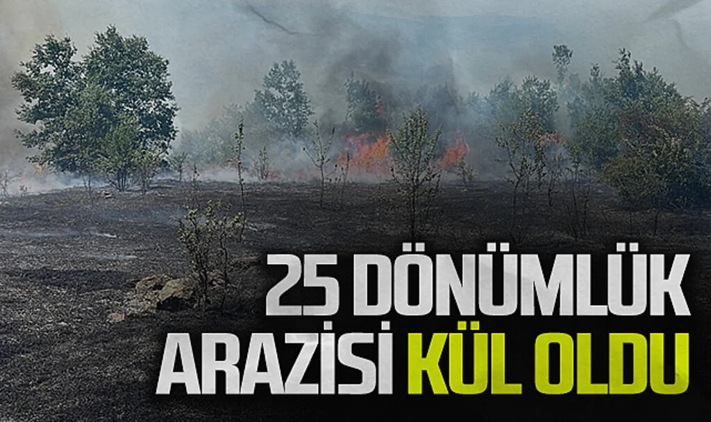 Samsun'da 25 Dönümlük Tarım Arazisi Yangında Zarar Gördü