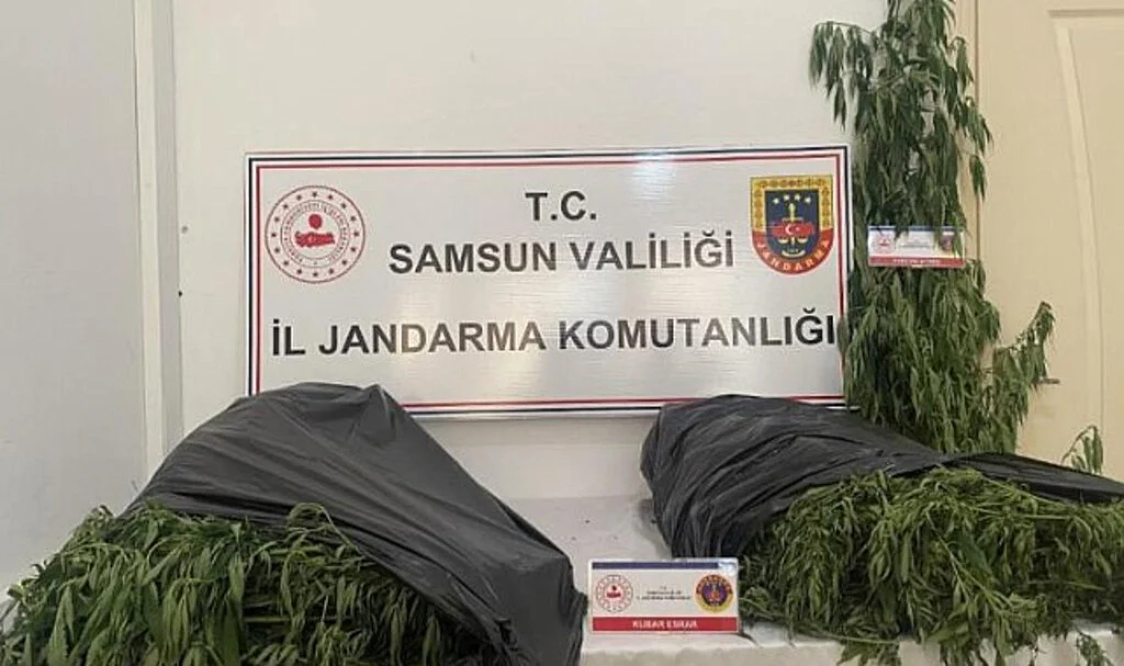 Samsun'da Jandarmadan Uyuşturucu Operasyonu: 3 Kişi Gözaltında