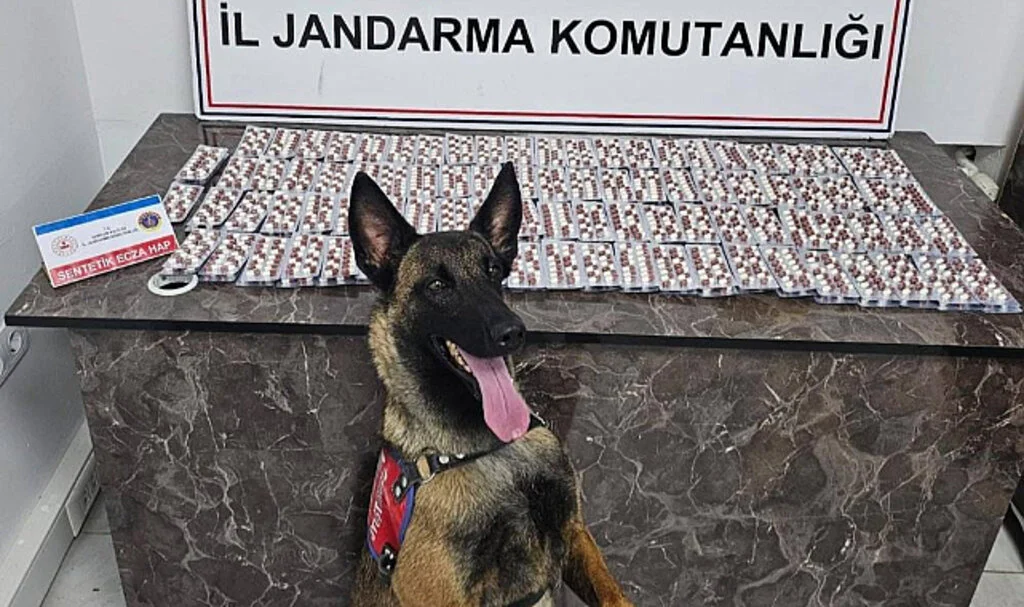 Samsun'da Jandarmadan Uyuşturucu Satıcılarına Operasyon: 2 Kişi Gözaltında