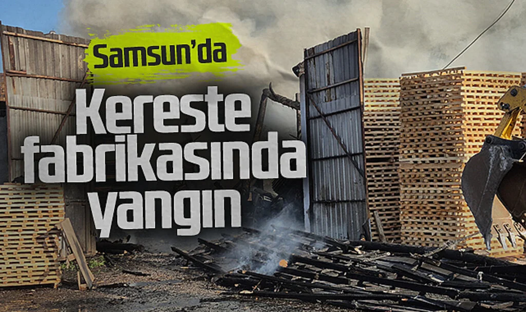 Samsun'da kereste fabrikasında yangın