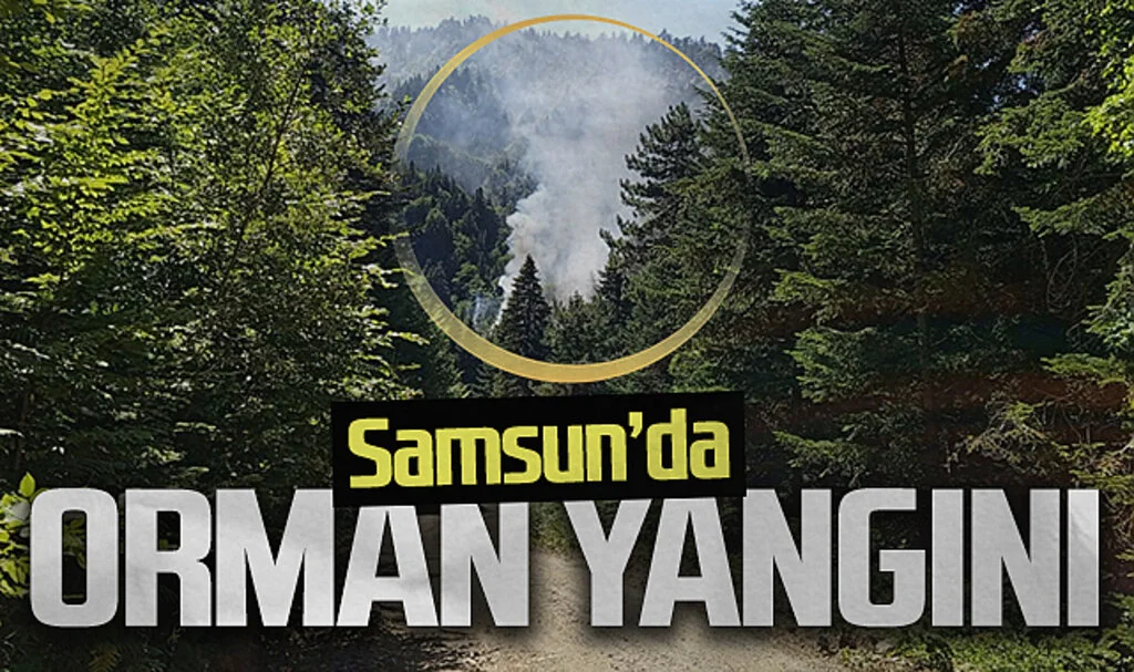 Samsun'da orman yangını