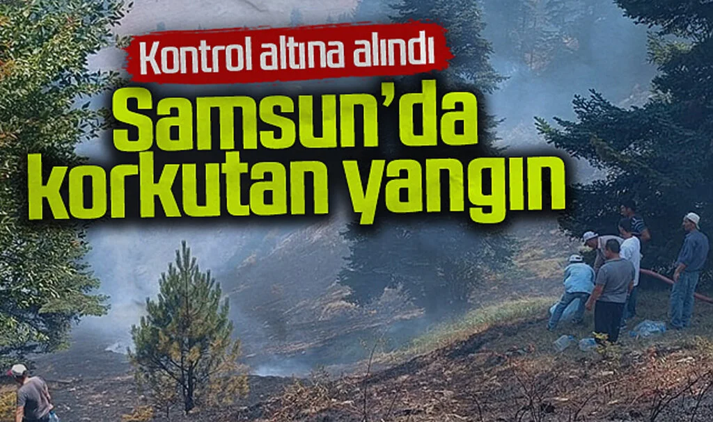 Samsun'da Ormanlık Alanda Çıkan Yangın Kontrol Altına Alındı