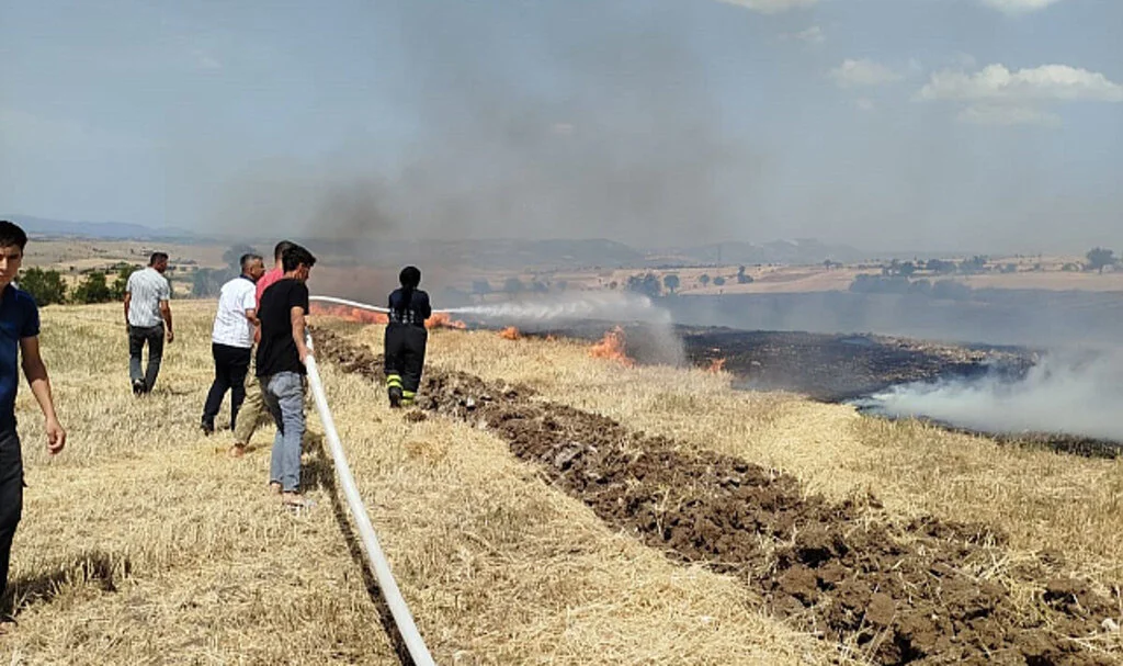 Samsun’da Tarım Alanları Yangından Etkilendi: 20 Dönüm Buğday Zarar Gördü