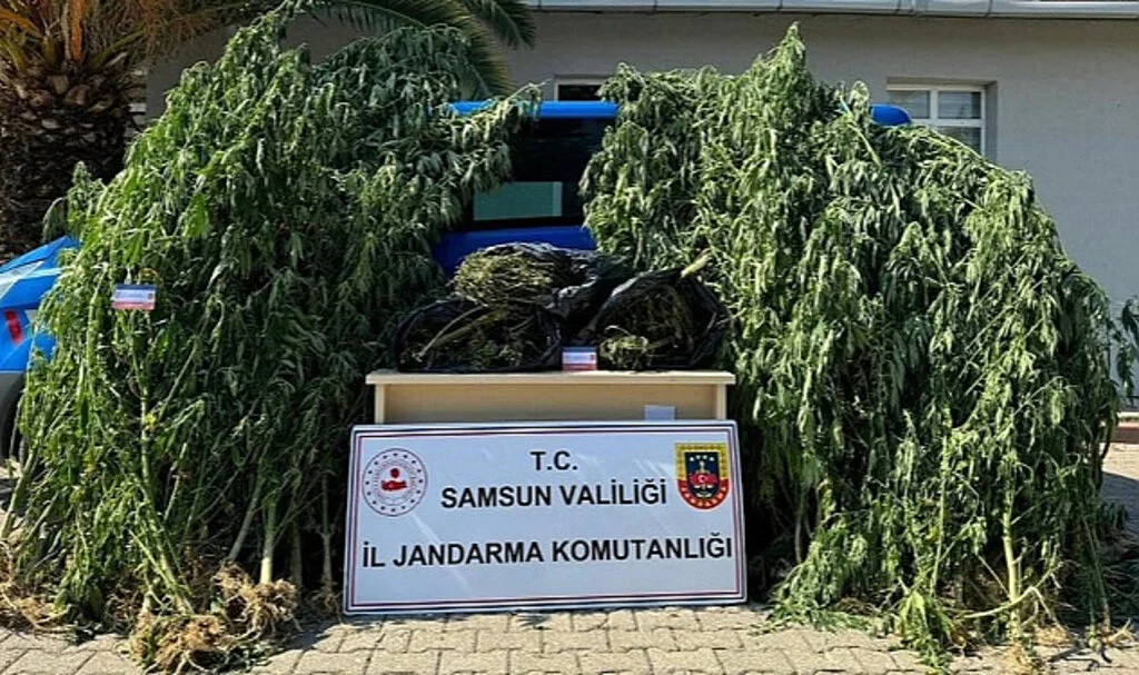 Samsun'da Uyuşturucu Operasyonu: 6 Kilo Esrar Ele Geçirildi