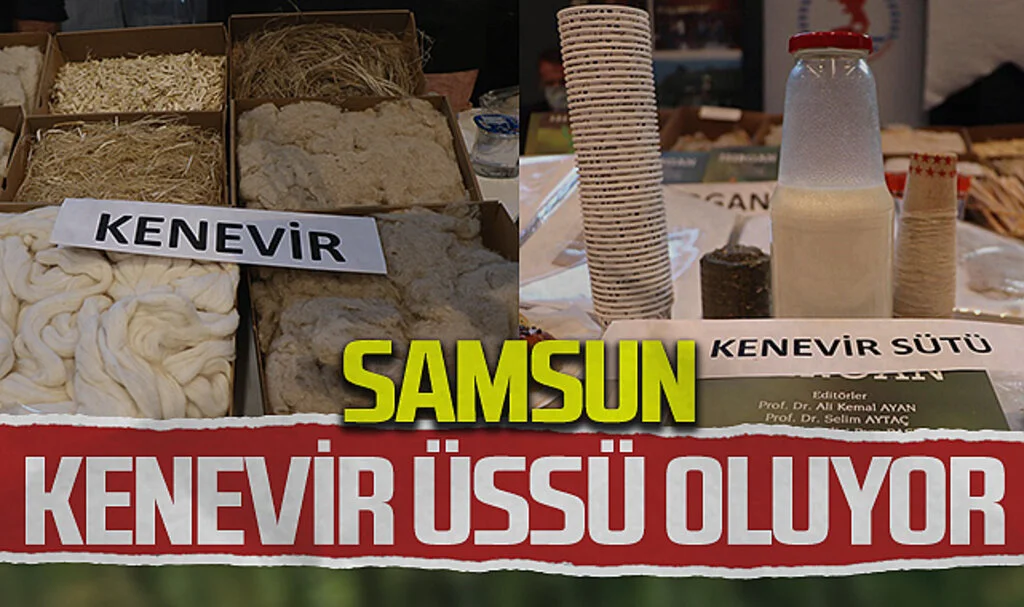 Samsun Kenevir Üssü Oluyor