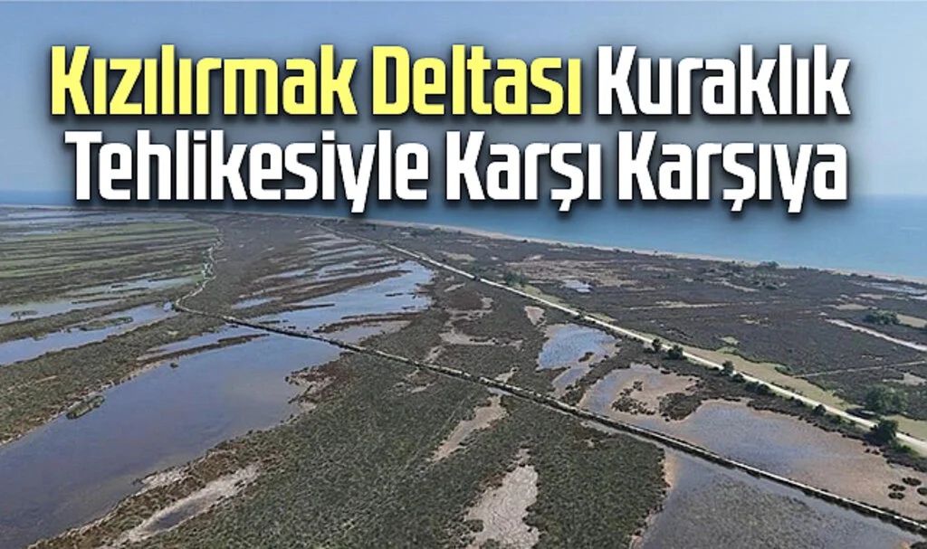 Samsun Kızılırmak Deltası Kuraklık Tehlikesiyle Karşı Karşıya