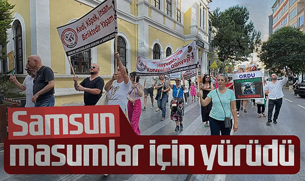 Samsun sokak hayvanları için yürüdü: Milyonlarca hayvan idam sehpasına çıktı!