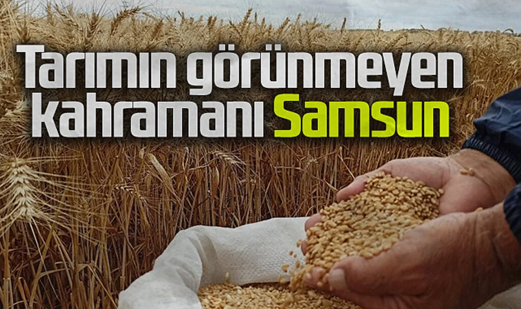 Samsun'un Tarım Başarısı: Sebze ve Meyve Üretiminde Lider