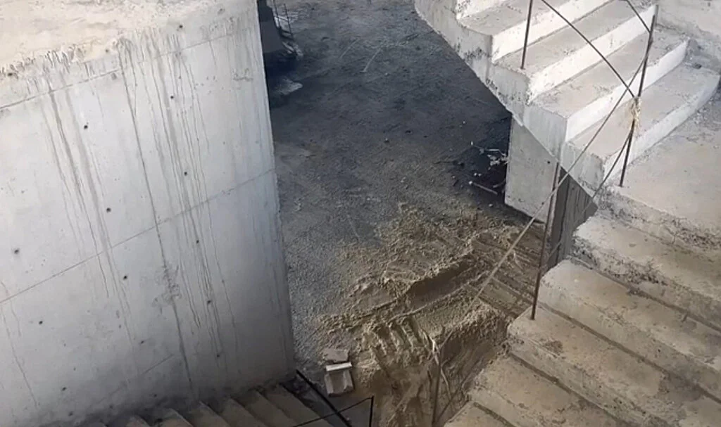 Temizlik İçin Eve Çağırdığı Genç Kızı Öldürüp Cesedini Parçalara Ayırdı