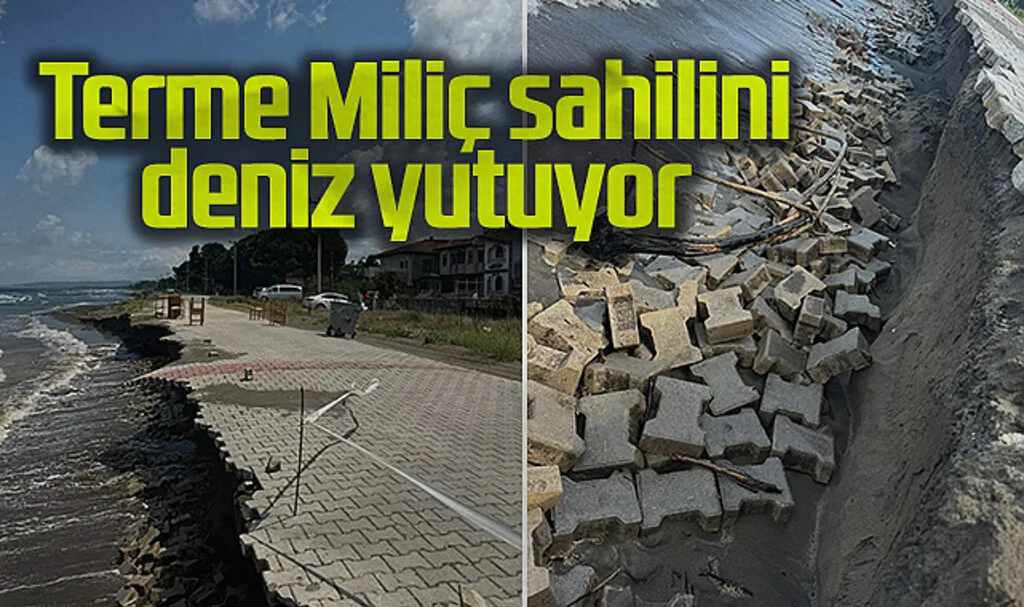 Terme Miliç Sahilini Deniz Yutuyor