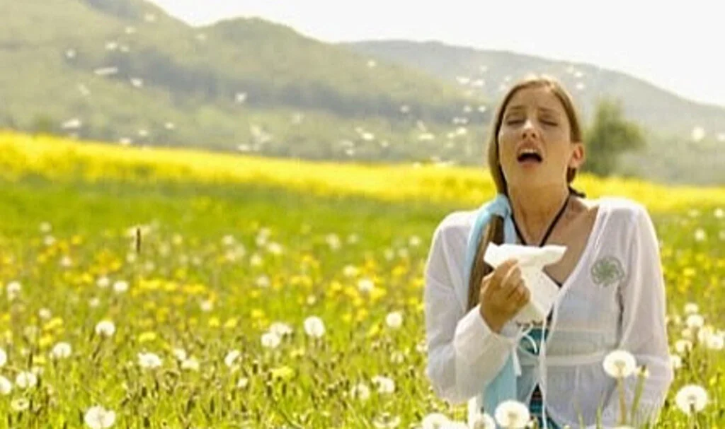 Yaz Aylarında Dikkat: Saman Nezlesi Artışta!