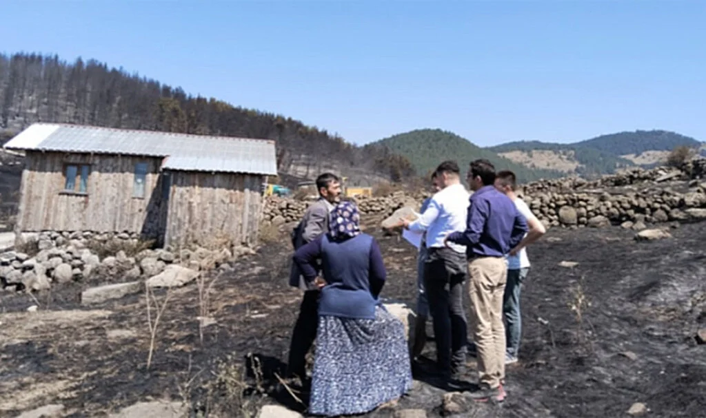 Ankara-Bolu Sınırında Yangın: 13 Yayla Evi ve Cami Kül Oldu