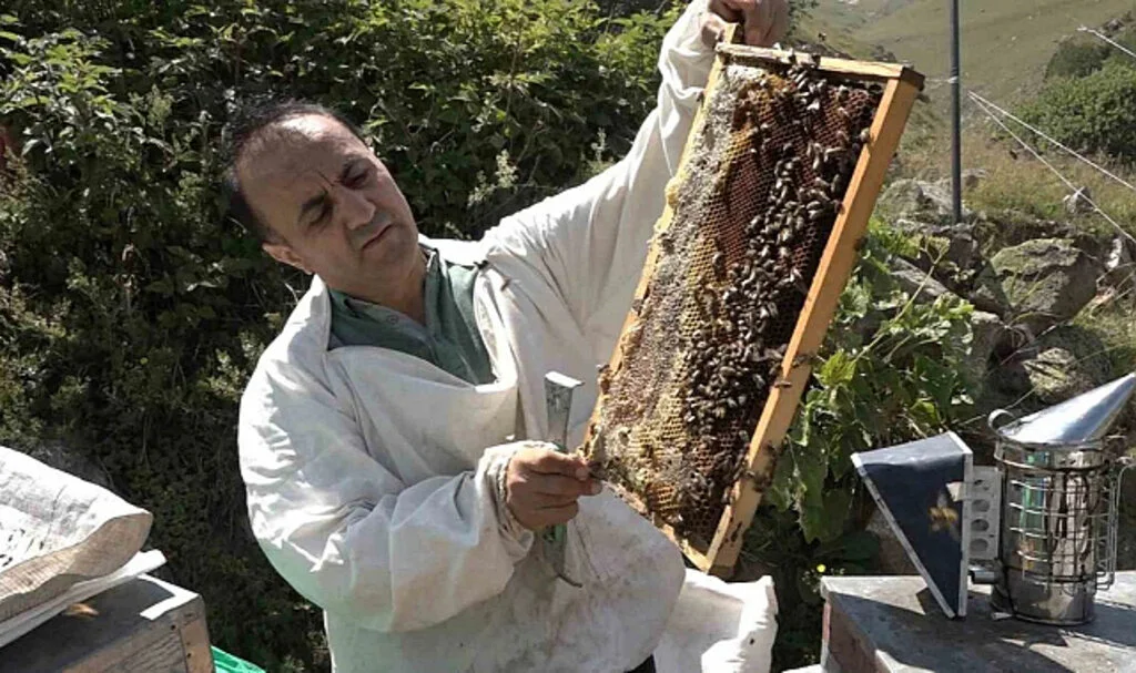 Anzer Balı Fiyatı 4 Bin TL Olarak Belirlendi