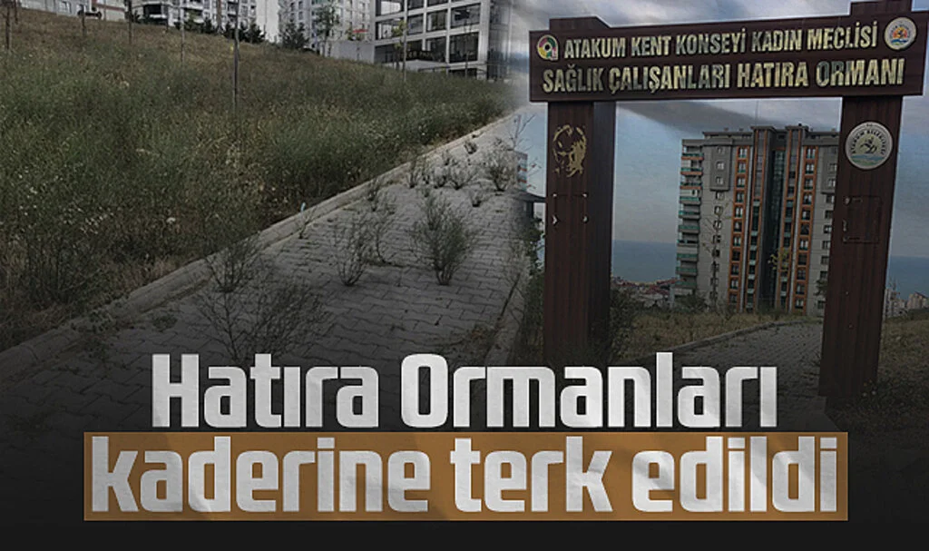 Atakum'da Hatıra Ormanları Kaderine Terk Edildi