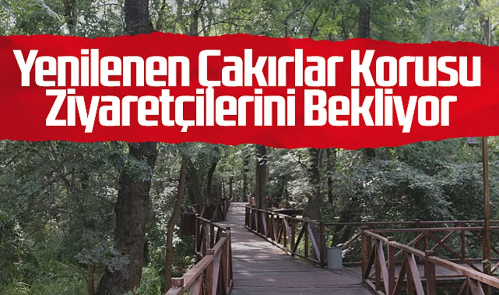 Atakum’un Gözdesi Çakırlar Korusu Ziyaretçilerini Bekliyor