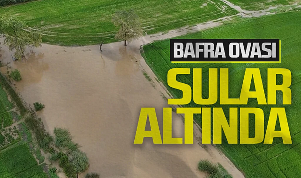Bafra Ovası'nda Tarım Arazileri Sel Suları Altında Kaldı