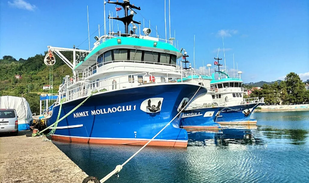 Balıkçılar Palamut İçin Umutlu