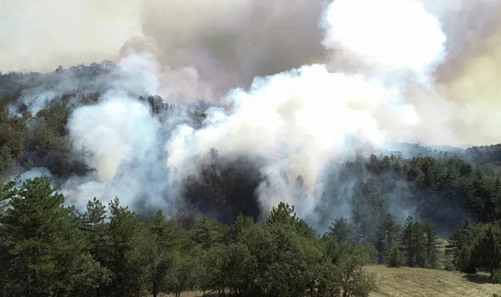 Bolu'daki Orman Yangınına 45 Saatlik Müdahale Devam Ediyor
