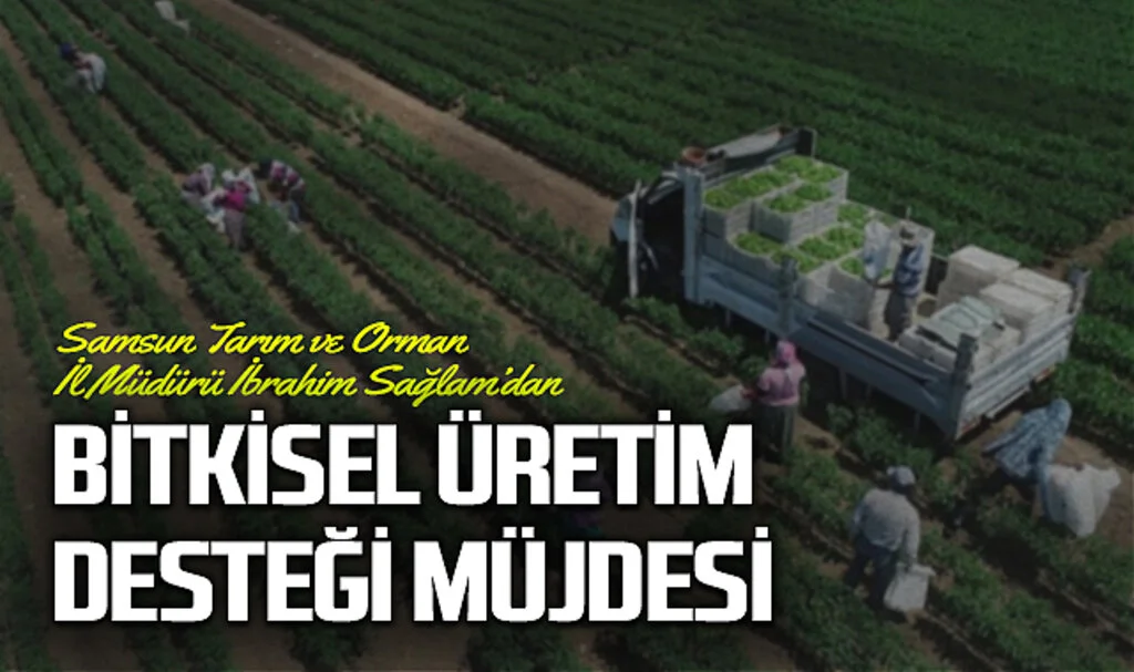ÇKS'ye Kayıtlı Üreticilere Bitkisel Üretim Desteği Müjdesi