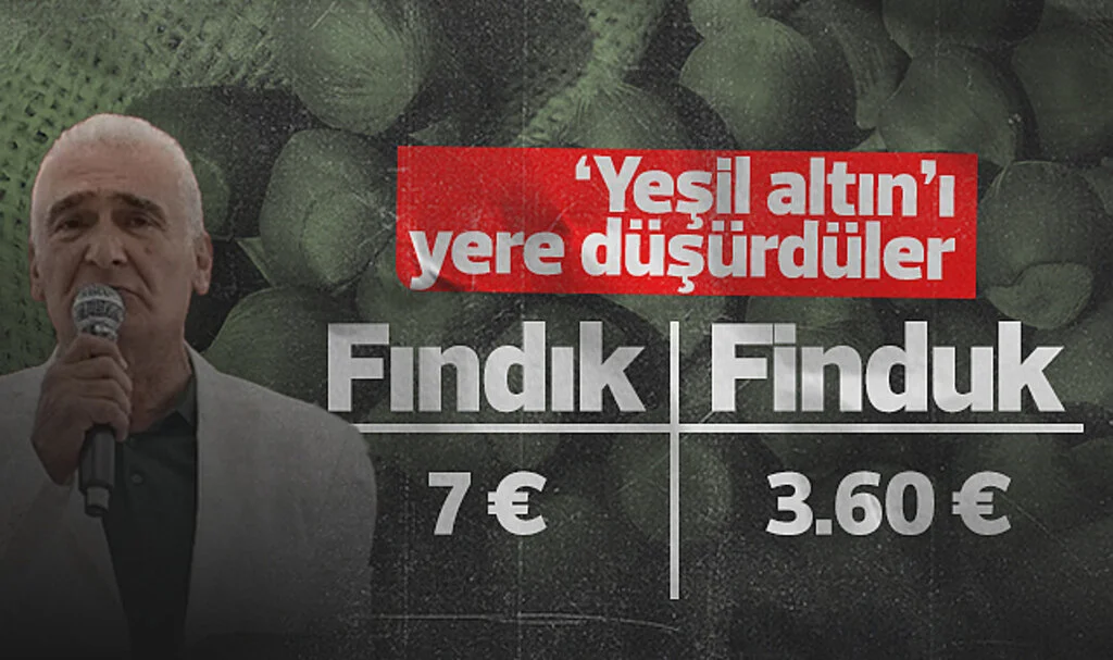 Fındık: 7 Euro, Finduk: 3.60 Euro! 'Yeşil Altın'ı Yere Düşürdüler