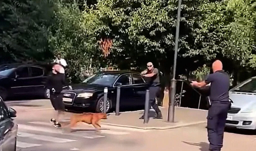 Fransa'da Polis Ağızlıksız Gezdirilen Köpeği Vurdu
