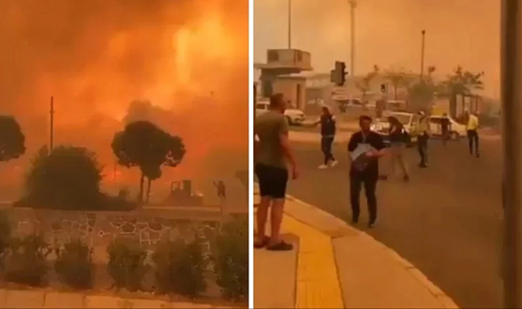 İzmir'de Orman Yangını Tehlikeli Boyutlara Ulaştı! Kaçacak Yer Arıyorlar...