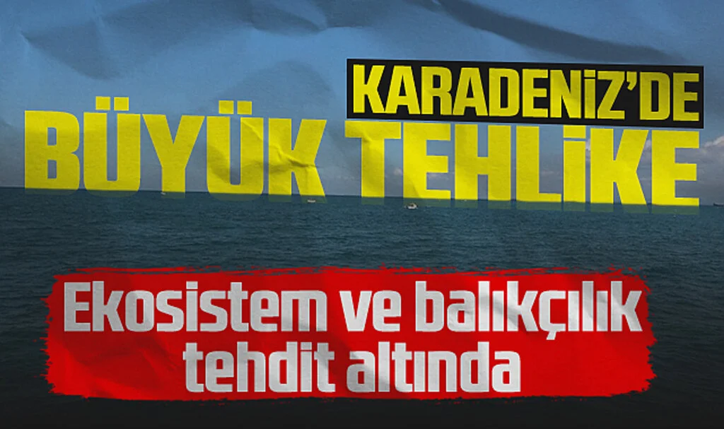 Karadeniz'de Büyük Tehlike! Ekosistem ve Balıkçılık Tehdit Altında