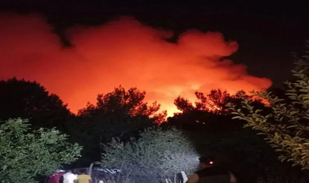 Karşıyaka'da Orman Yangınına Müdahale Devam Ediyor