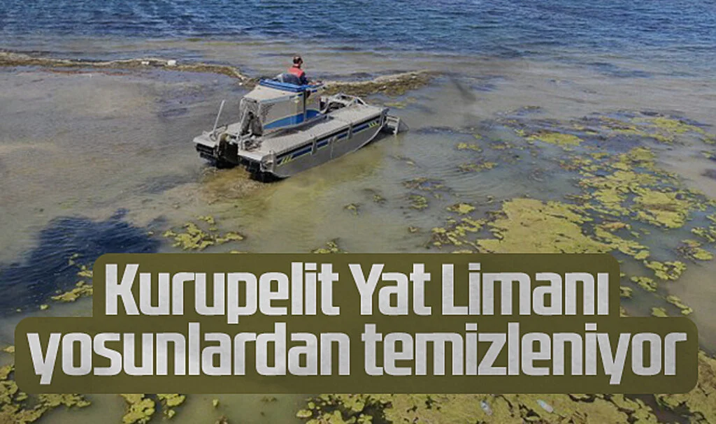 Kurupelit Yat Limanı'nda Yosun Temizleme Çalışmaları Başladı