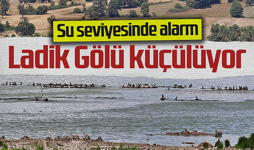 Ladik Gölü Kuraklıkla Küçülüyor: Su Seviyesi Alarm Veriyor