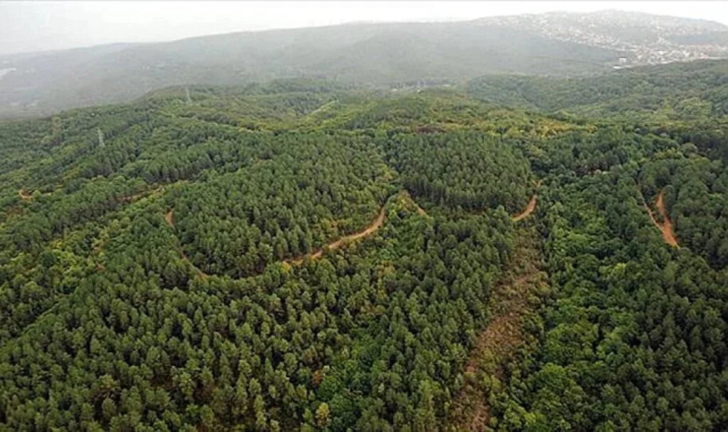 Orman Yangınlarıyla Mücadelede Stratejik Adımlar