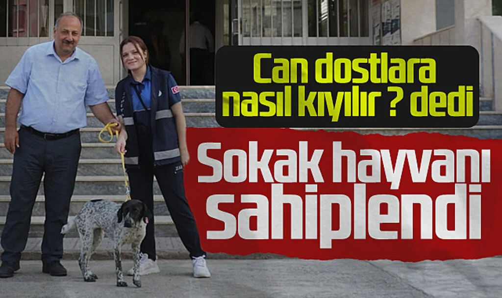 Salıpazarı'ndan Örnek Proje: Sokak Hayvanları Korumaya Alındı