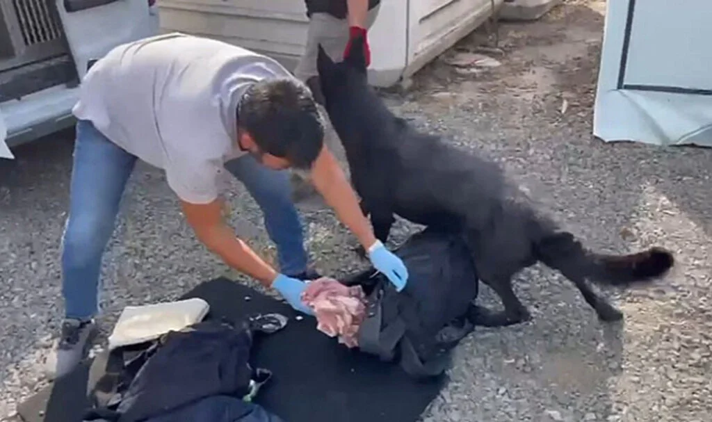 Samsun'da 572 Gram Metamfetamin Ele Geçirildi