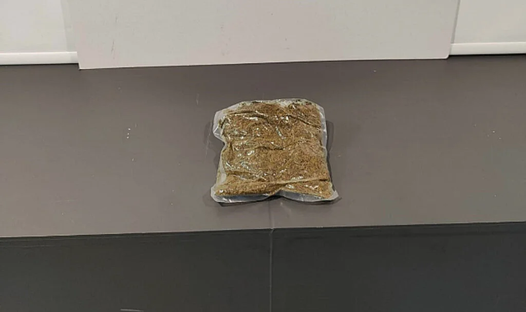 Samsun’da Aracında Bonzai Bulunan Şahıs Gözaltına Alındı