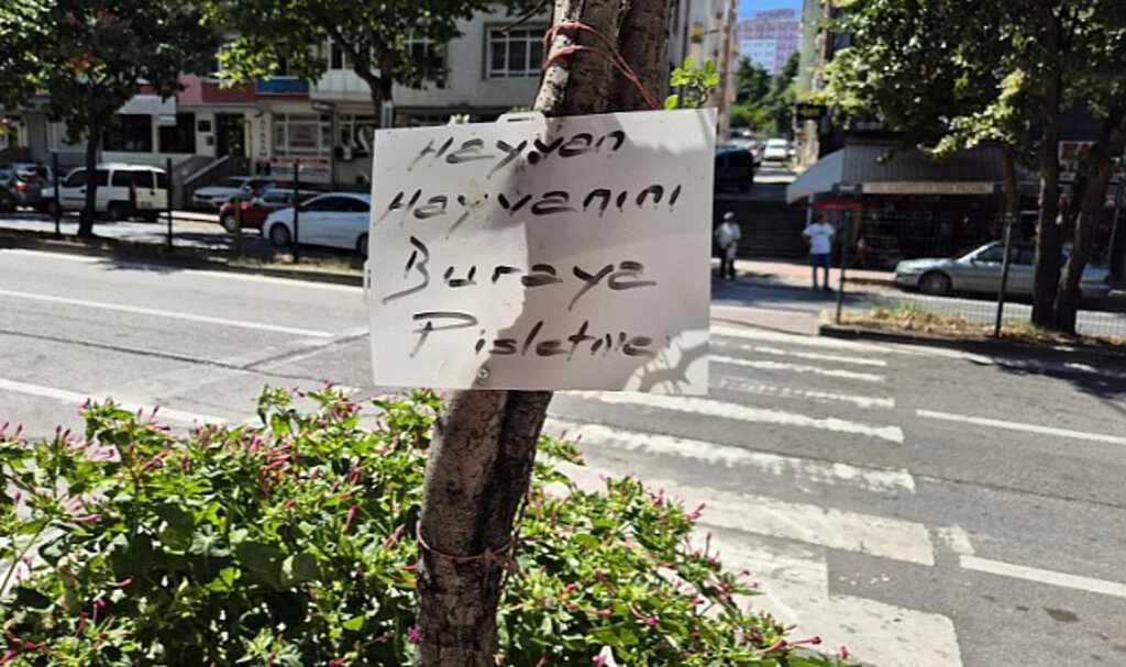 Samsun'da Esnaftan Evcil Hayvan Dışkısına Karşı İlginç Önlem