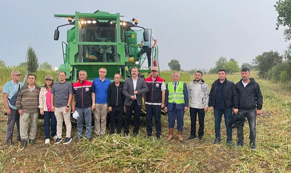 Samsun'da Kenevir Hasadı Gerçekleşti
