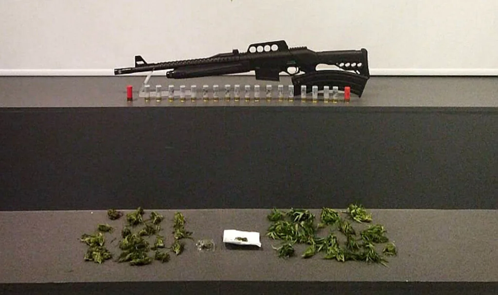 Samsun'da Kubar Esrar ve Tüfekle Yakalanan Şahıs Tutuklandı