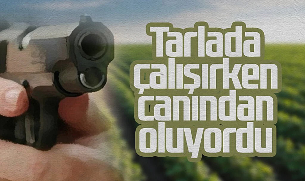 Samsun'da Tarlada Çalışırken Yorgun Mermi İle Yaralanan Kadın Tedavi Altında