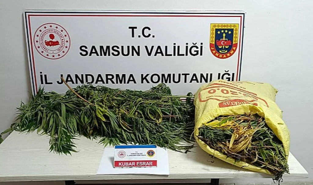 Samsun'da Uyuşturucu Operasyonunda 12 Kilogram Esrar Ele Geçirildi