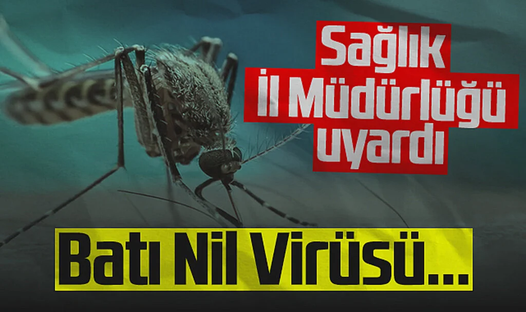 Samsun İl Sağlık Müdürlüğü Uyardı! Batı Nil Virüsü...