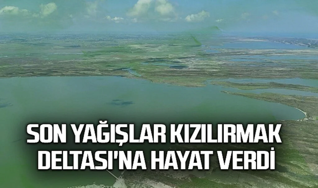 Son Yağışlar Kızılırmak Deltası'na Hayat Verdi