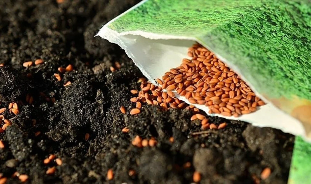 Tarımda 64 Yeni Yerli Tohum Çeşidi Geliştirildi