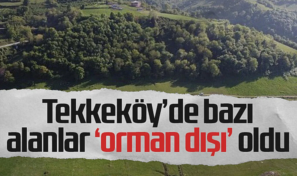Tekkeköy'de bazı  alanlar 'orman dışı' oldu 